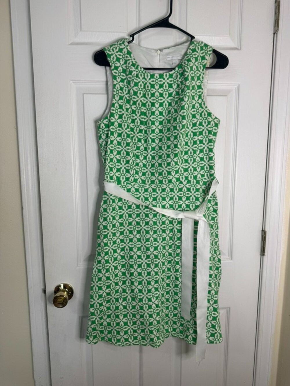 New York & Company Green & White Dress